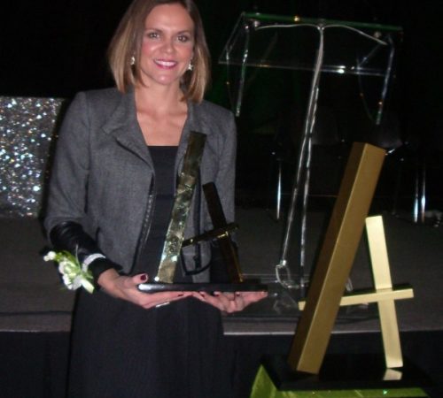 artoftransitionawardNov27-2014